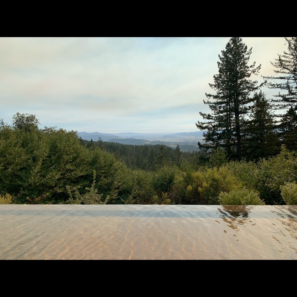 Meet your Posher, Ashlee